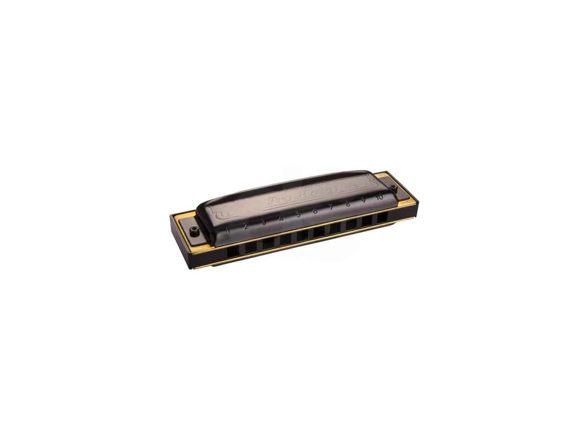 Armónica Hohner PRO HARP 562/20 M564056P E — foto 1