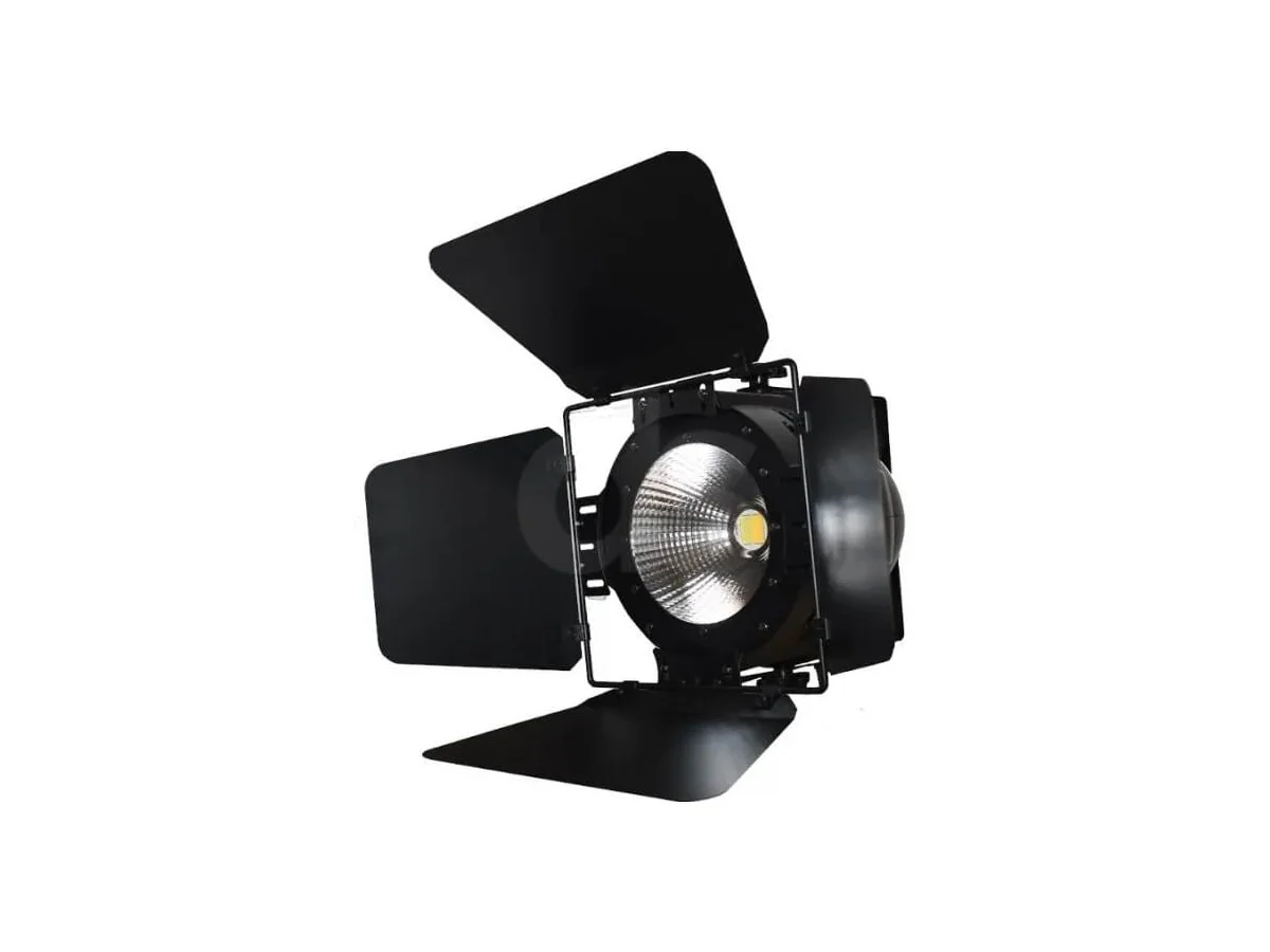 Par LED 100W NightSun SPC100P — foto 1